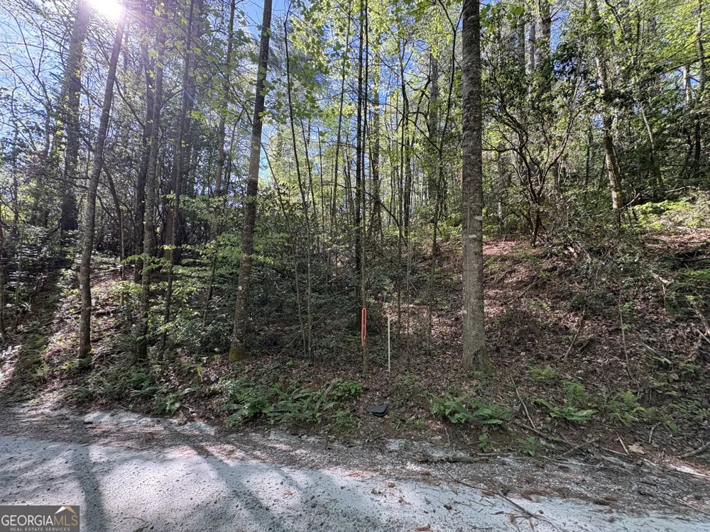 0 Western Way Rabun Gap, GA 30568