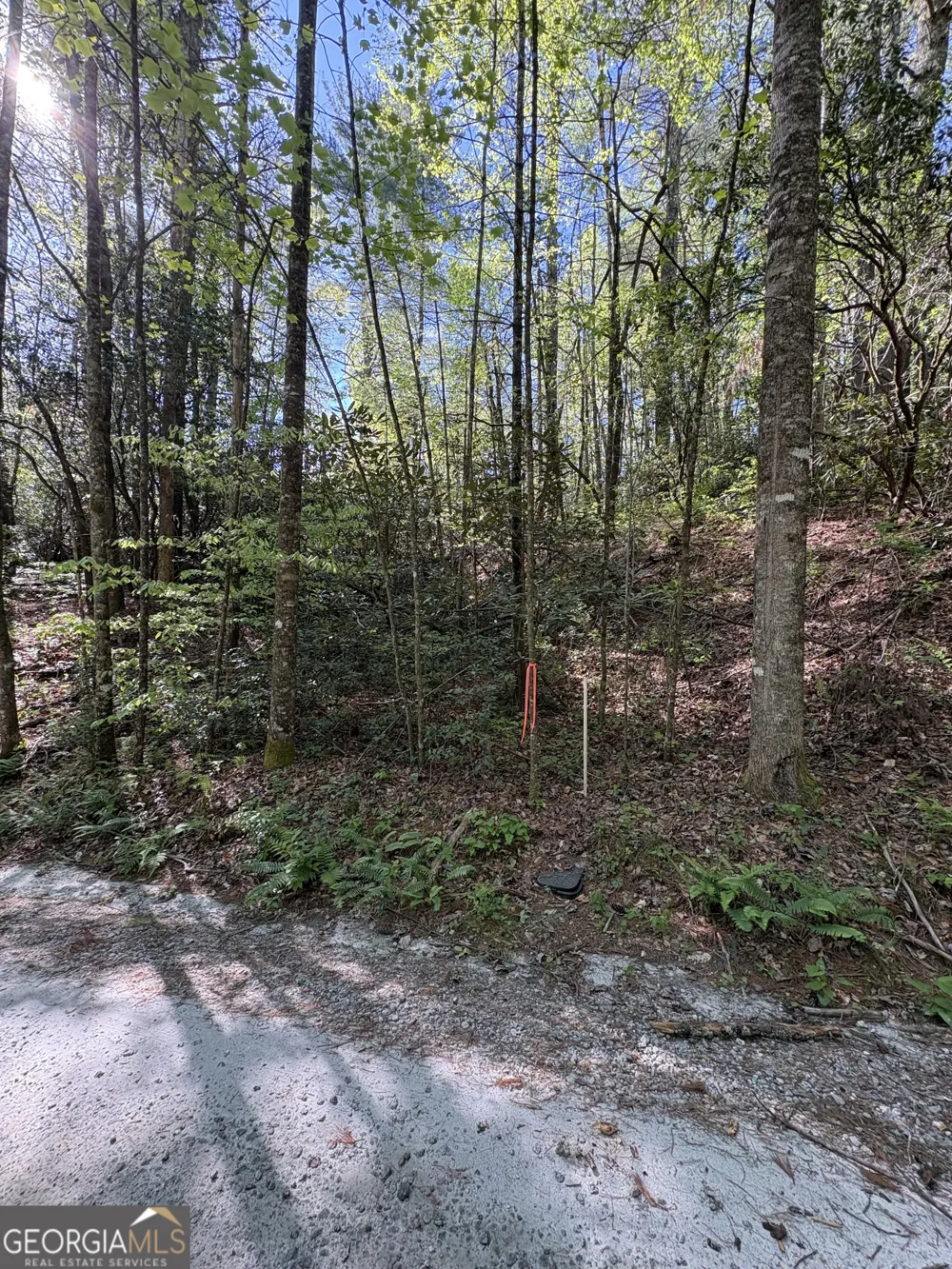 0 Western Way Rabun Gap, GA 30568