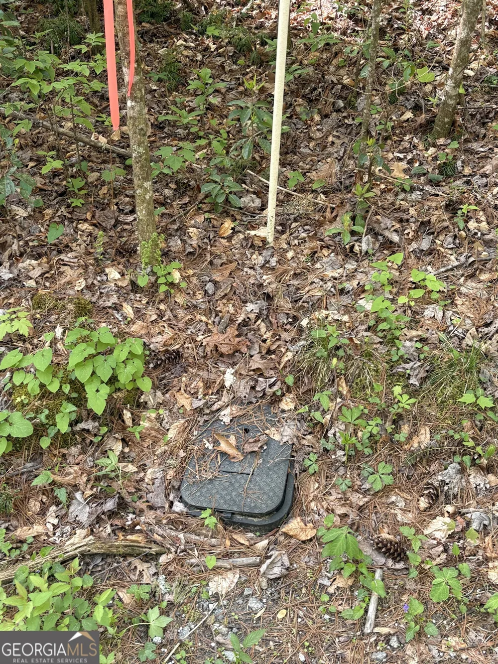 0 Western Way Rabun Gap, GA 30568
