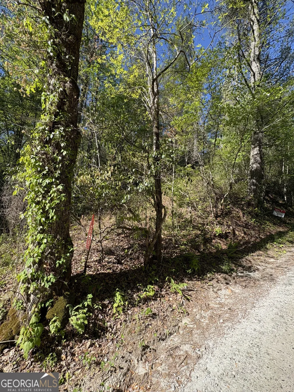 0 Western Way Rabun Gap, GA 30568