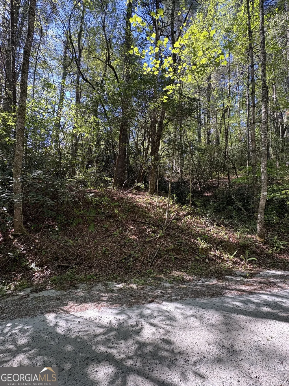 0 Western Way Rabun Gap, GA 30568