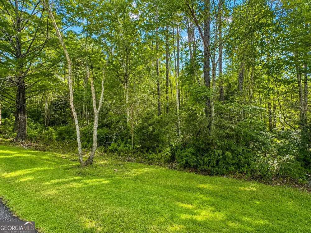 LOT 163 La Terra LN Waverly, GA 31565