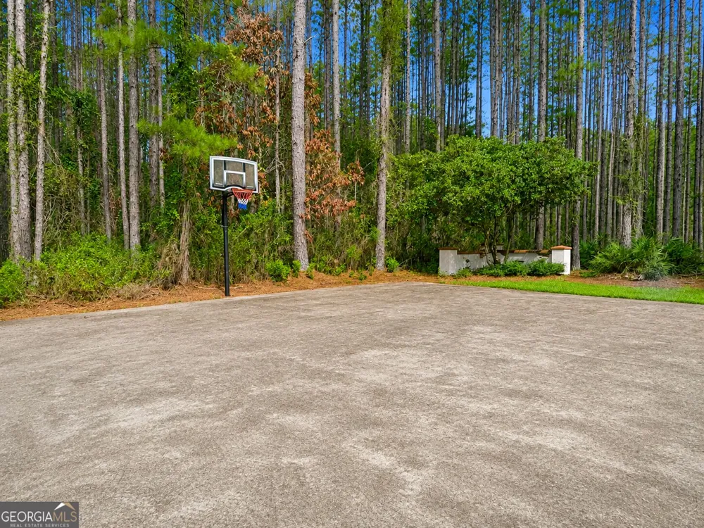 LOT 163 La Terra LN Waverly, GA 31565