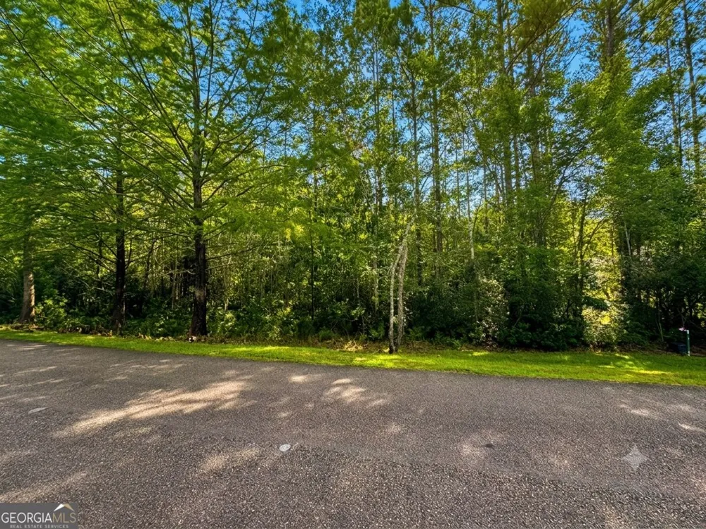 LOT 163 La Terra LN Waverly, GA 31565