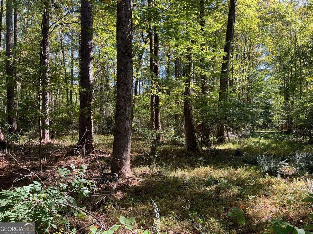 5334 Pounds DR N Stone Mountain, GA 30087