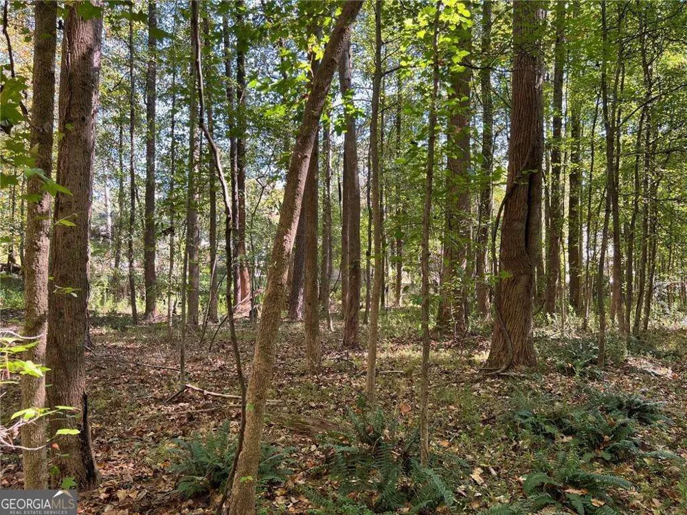 5334 Pounds DR N Stone Mountain, GA 30087