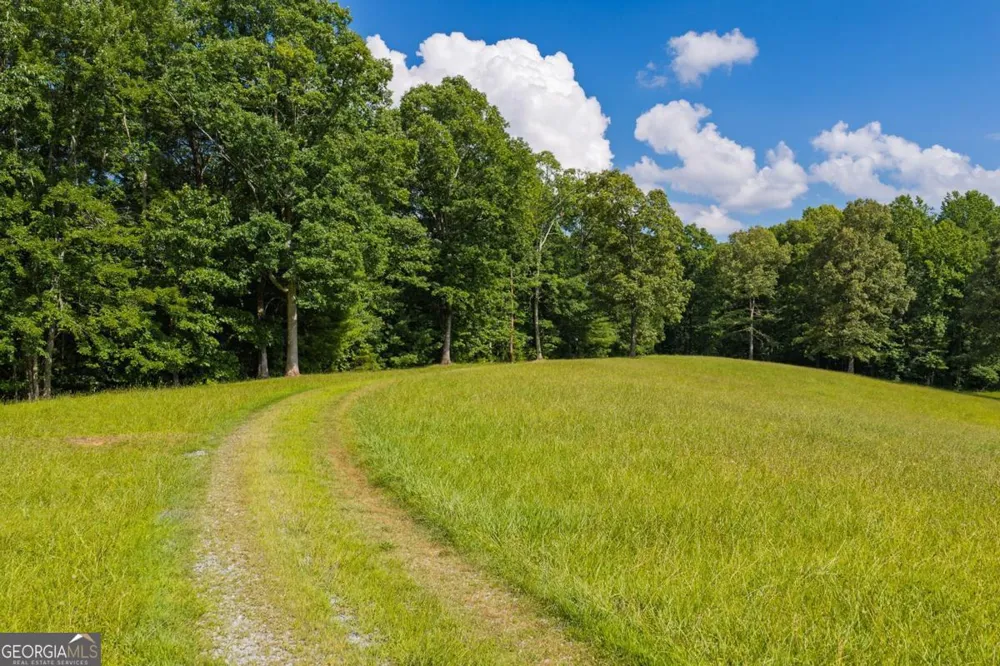 196 Creek Camp RD Ellijay, GA 30536