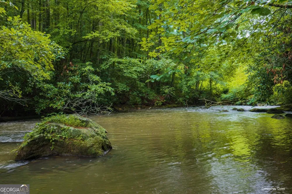 196 Creek Camp RD Ellijay, GA 30536
