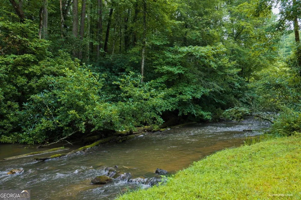 196 Creek Camp RD Ellijay, GA 30536