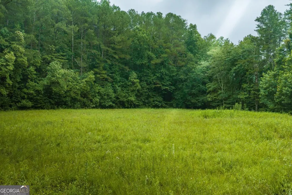 196 Creek Camp RD Ellijay, GA 30536