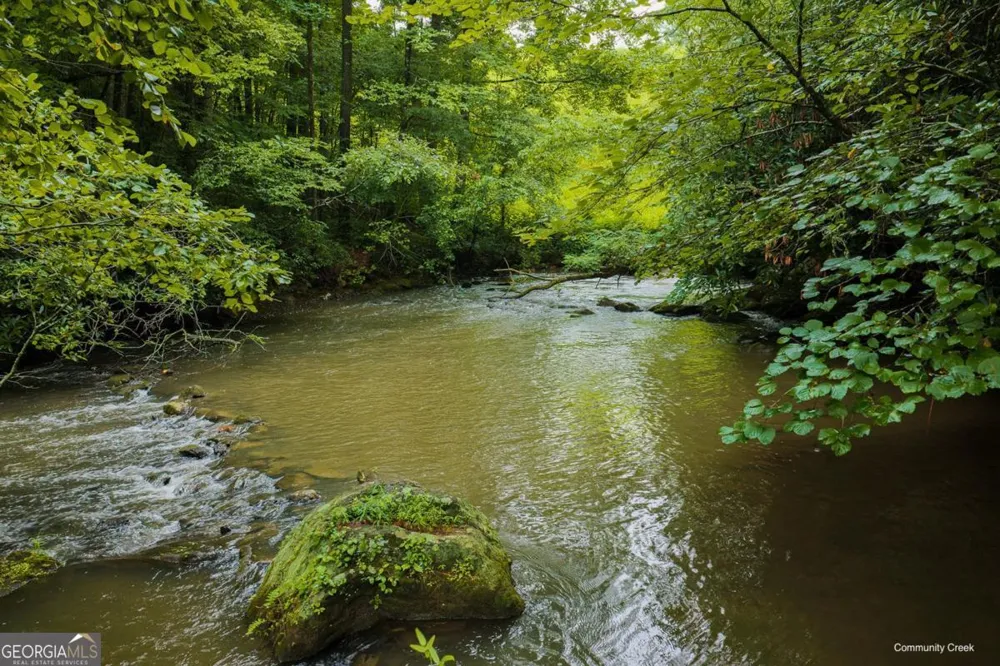 196 Creek Camp RD Ellijay, GA 30536