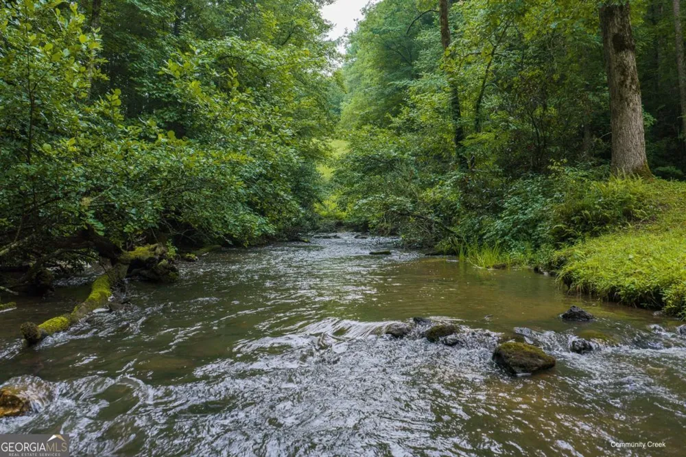 196 Creek Camp RD Ellijay, GA 30536