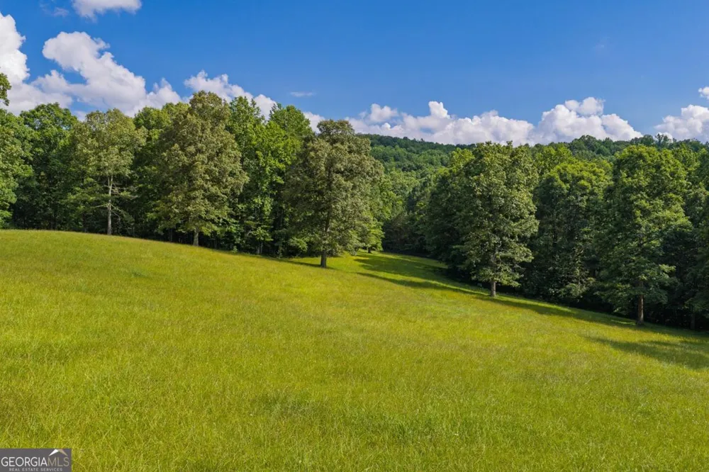 196 Creek Camp RD Ellijay, GA 30536