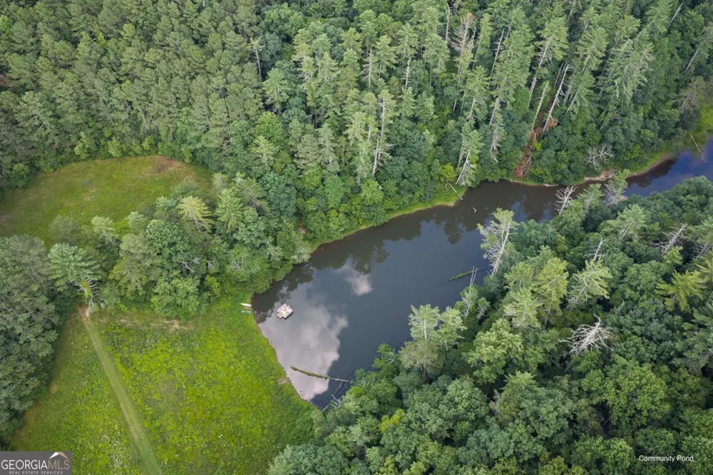 196 Creek Camp RD Ellijay, GA 30536