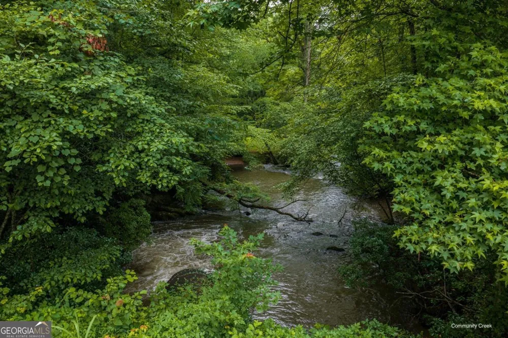 196 Creek Camp RD Ellijay, GA 30536