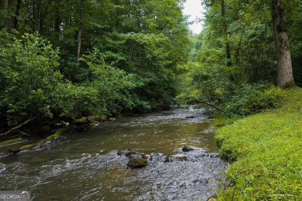 196 Creek Camp RD Ellijay, GA 30536