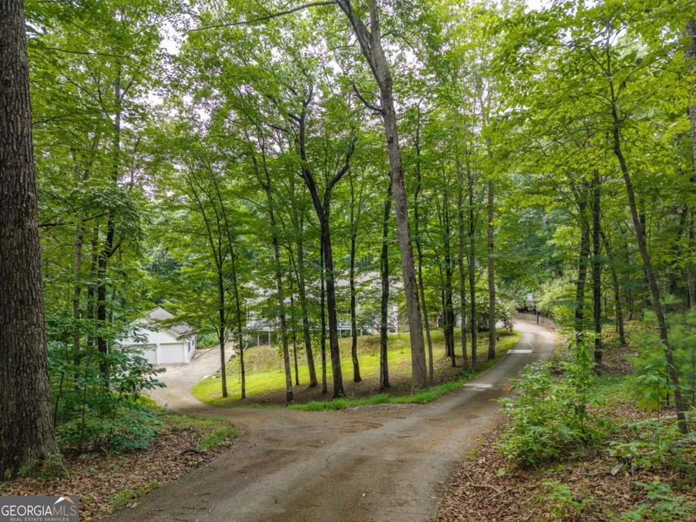 387 Leonard Evans RD Ellijay, GA 30540