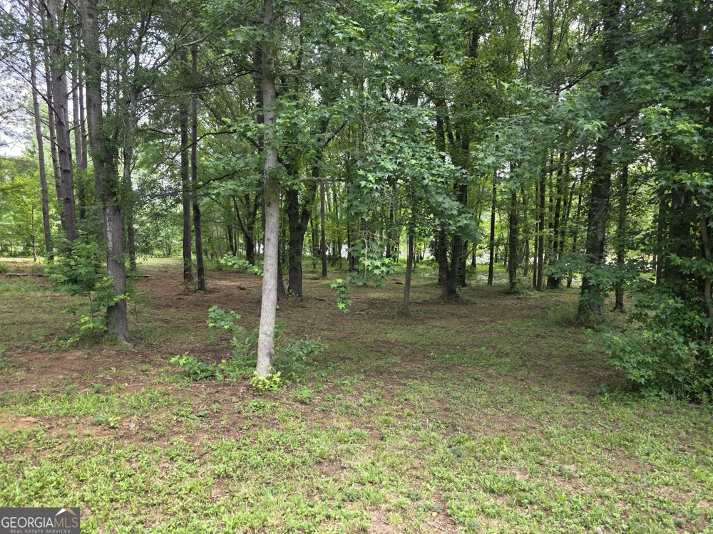 1071 Apalachee Shores CT Madison, GA 30650
