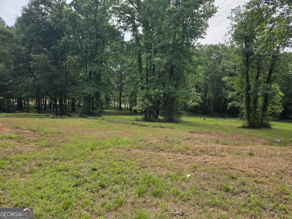 1071 Apalachee Shores CT Madison, GA 30650