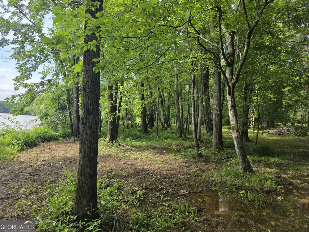 1071 Apalachee Shores CT Madison, GA 30650