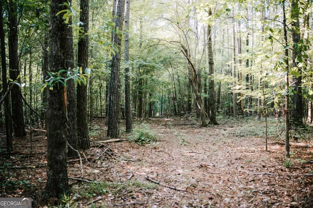 50 Bob White RD Colbert, GA 30628