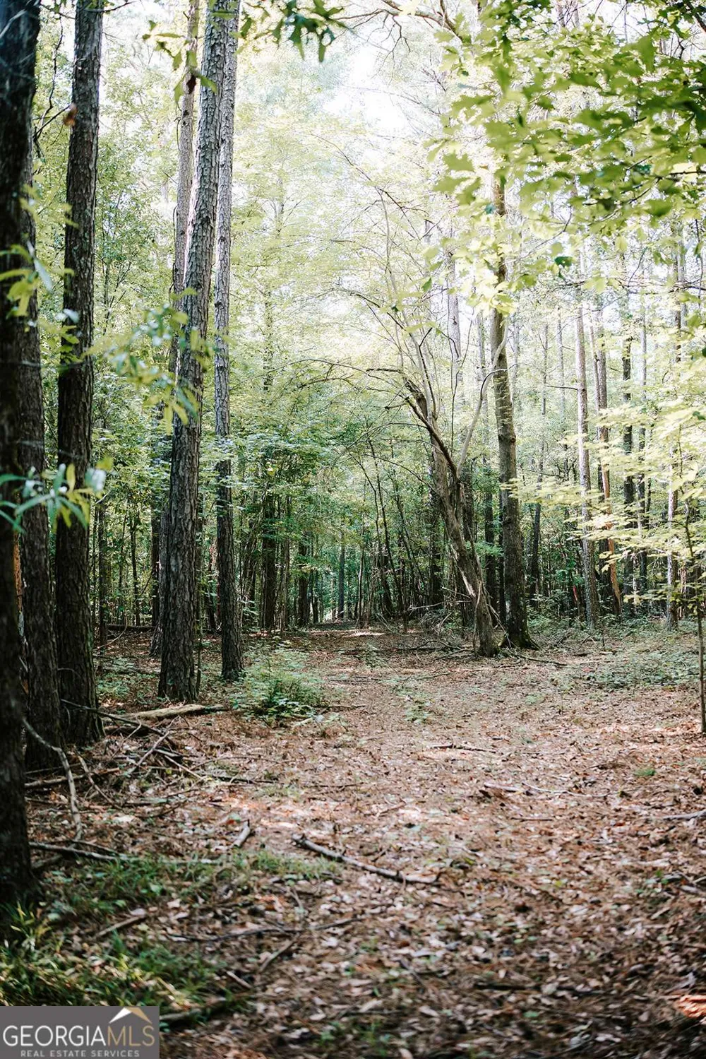 50 Bob White RD Colbert, GA 30628