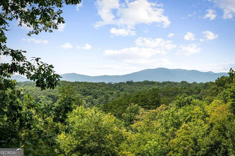 185 Austin Mountain RD Copperhill, TN 37317