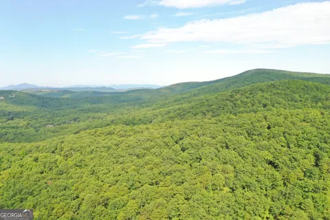 0 Mountain Sweet