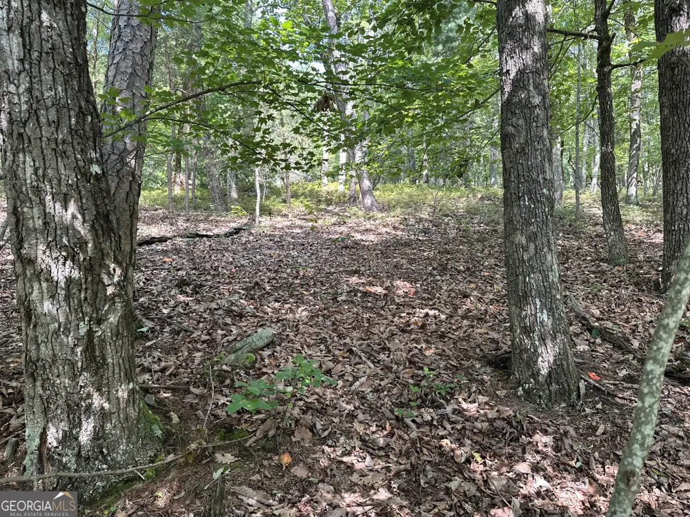 0 Mountain Sweet Clarkesville, GA 30523