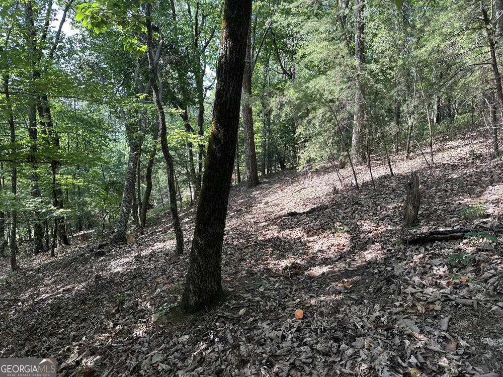 0 Mountain Sweet Clarkesville, GA 30523