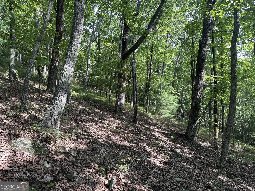 0 Mountain Sweet Clarkesville, GA 30523