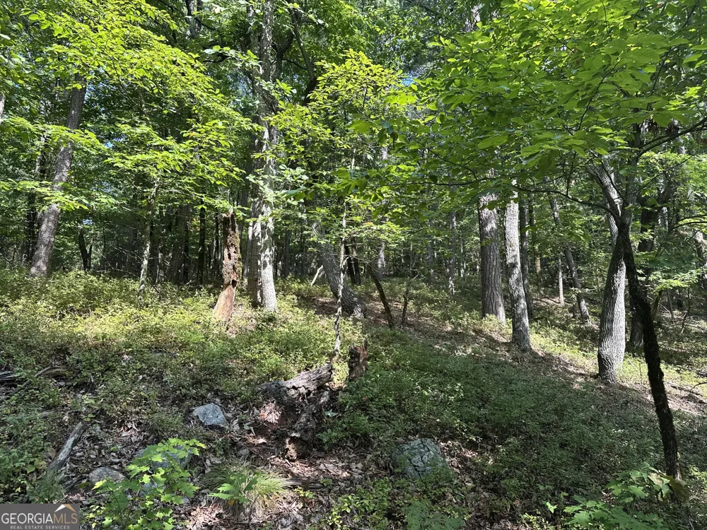 0 Mountain Sweet Clarkesville, GA 30523