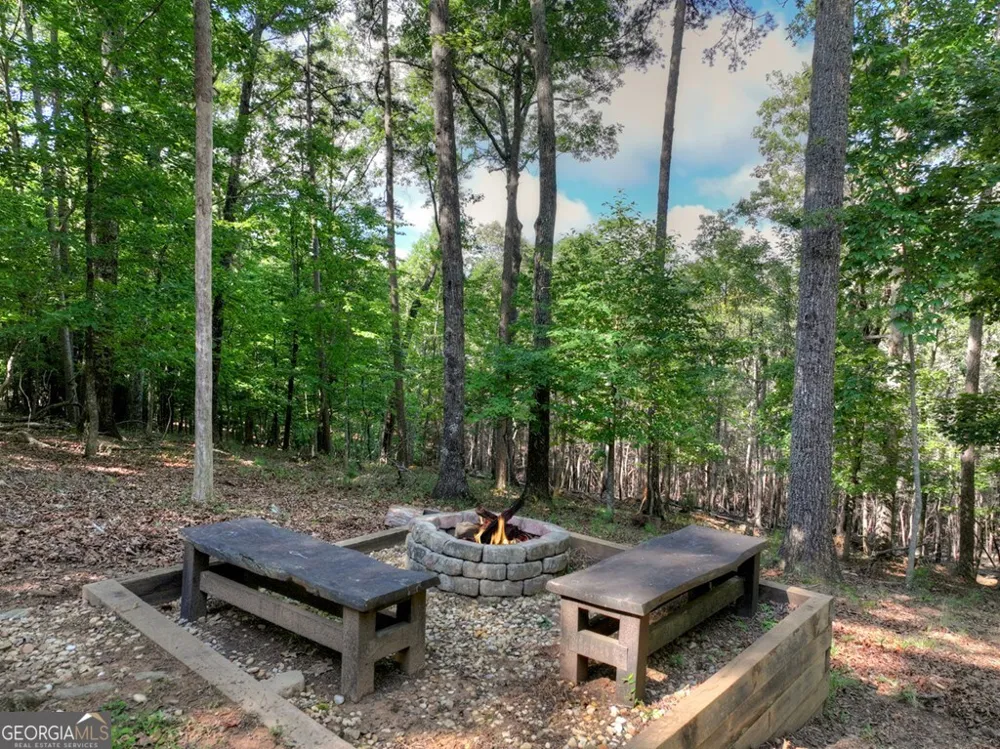 187 Hayden Way DR Morganton, GA 30560