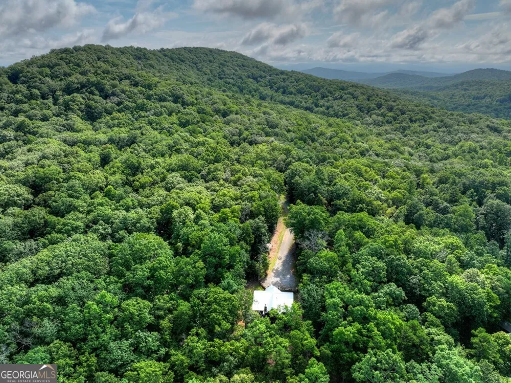 187 Hayden Way DR Morganton, GA 30560