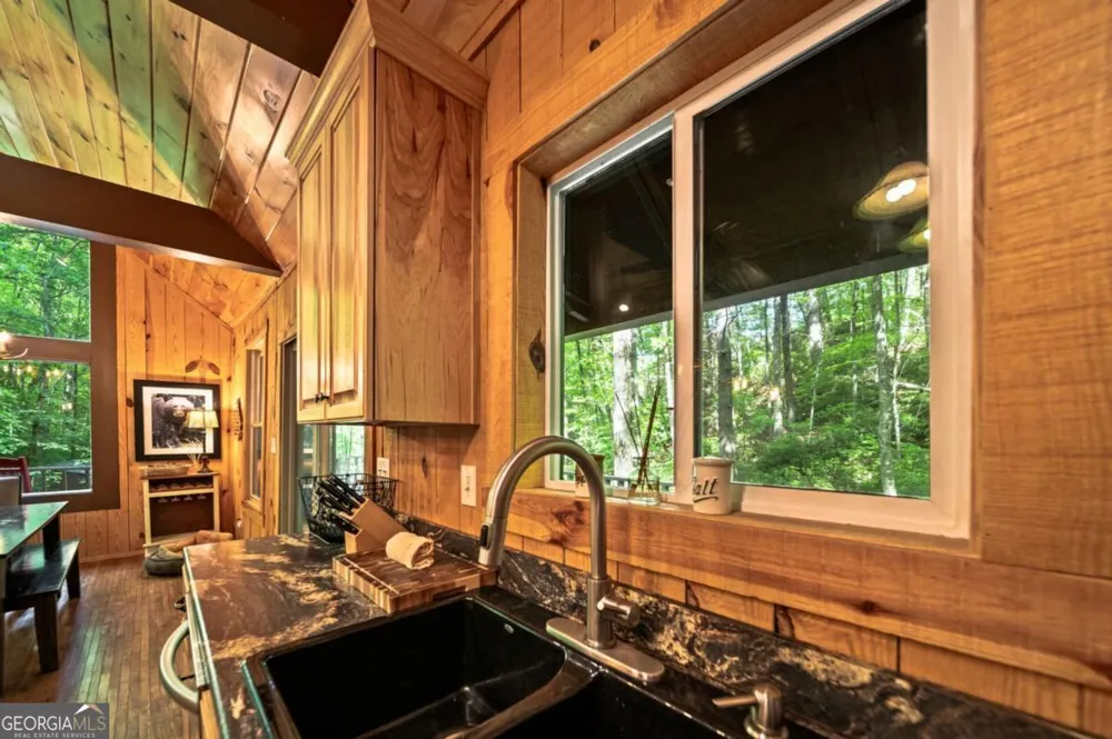 469 North Lake DR Ellijay, GA 30536