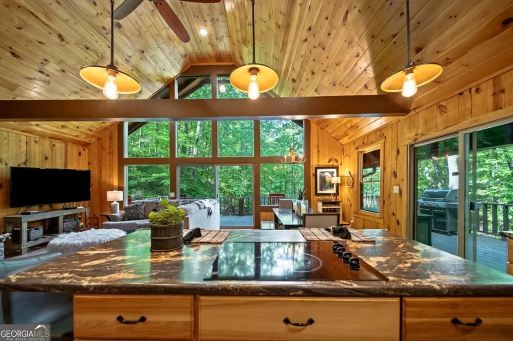 469 North Lake DR Ellijay, GA 30536