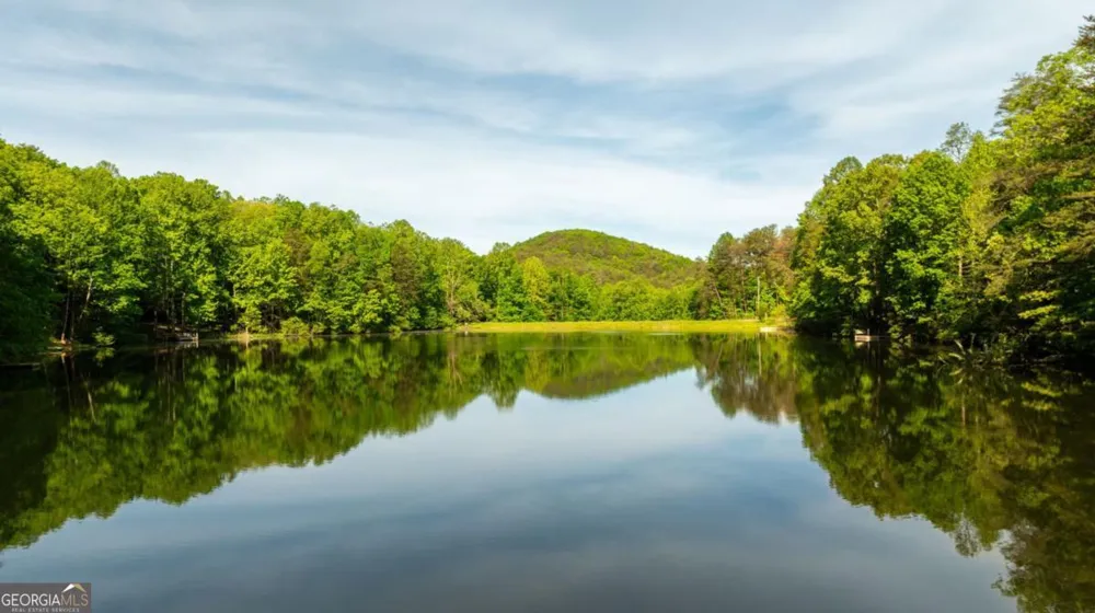 469 North Lake DR Ellijay, GA 30536
