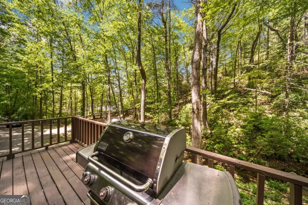 469 North Lake DR Ellijay, GA 30536
