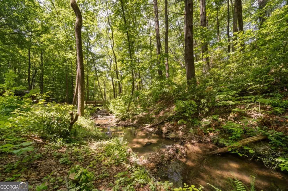 469 North Lake DR Ellijay, GA 30536