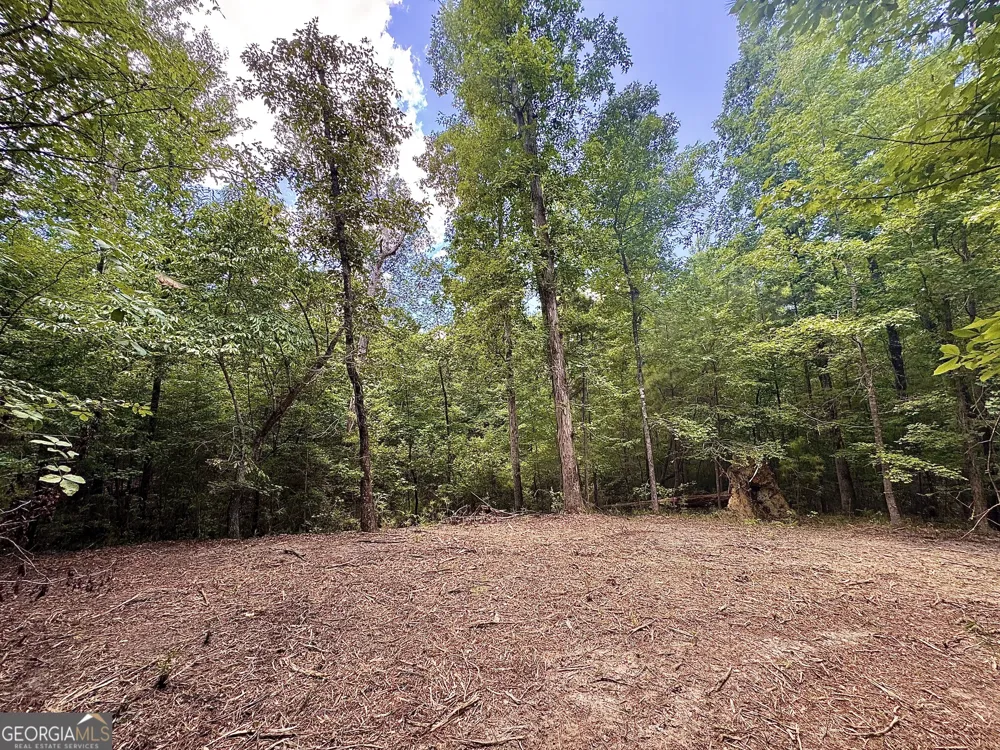 2 Roy Lawrence RD Sparta, GA 31087