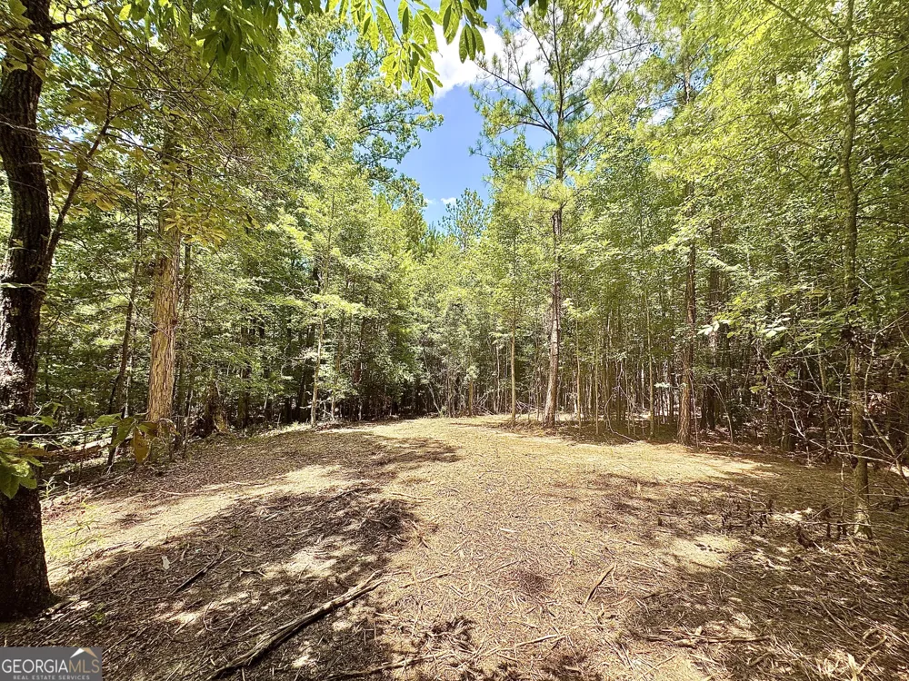 2 Roy Lawrence RD Sparta, GA 31087