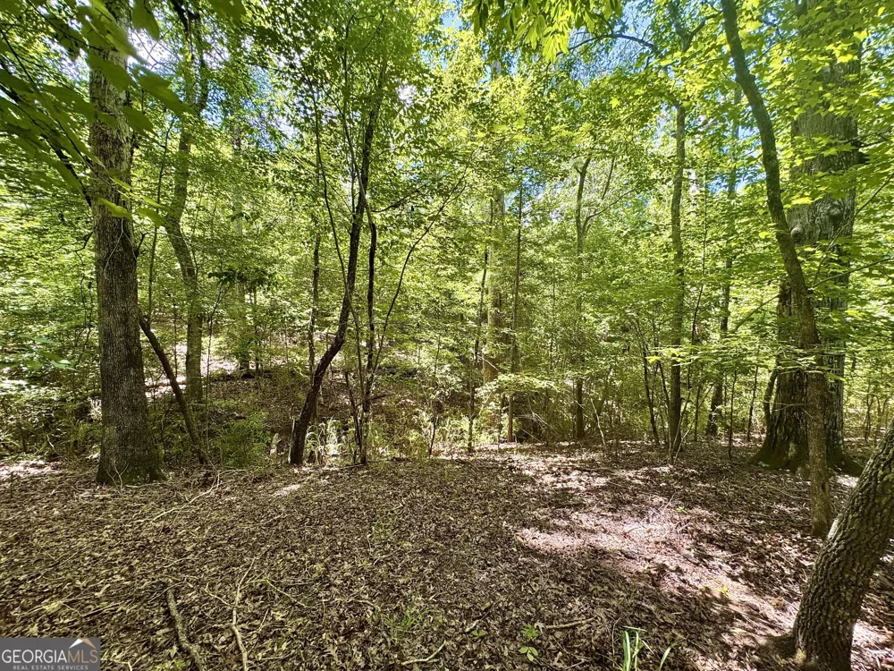 2 Roy Lawrence RD Sparta, GA 31087