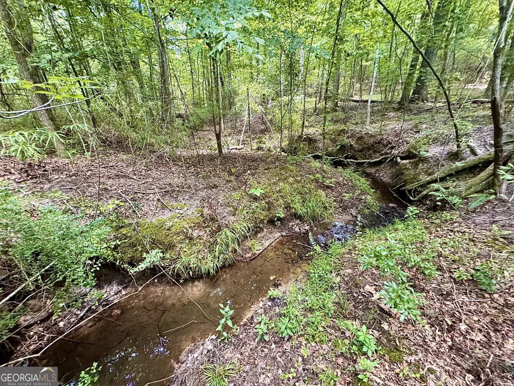 2 Roy Lawrence RD Sparta, GA 31087