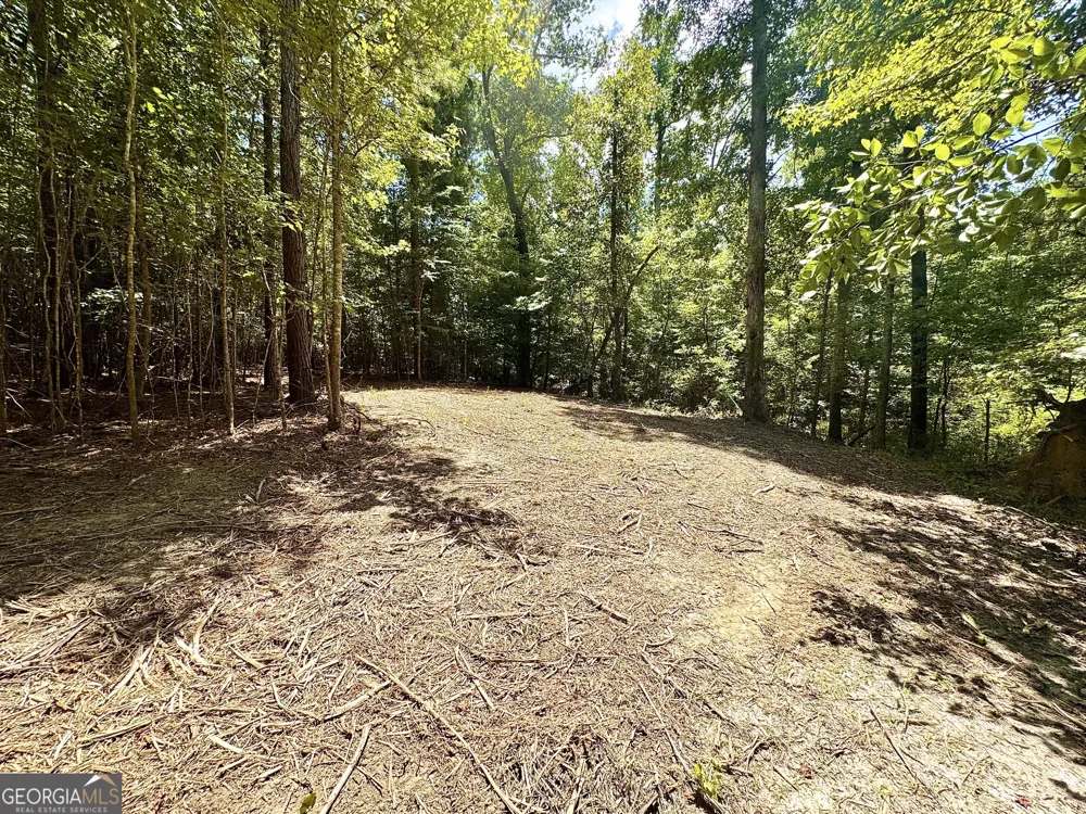 2 Roy Lawrence RD Sparta, GA 31087
