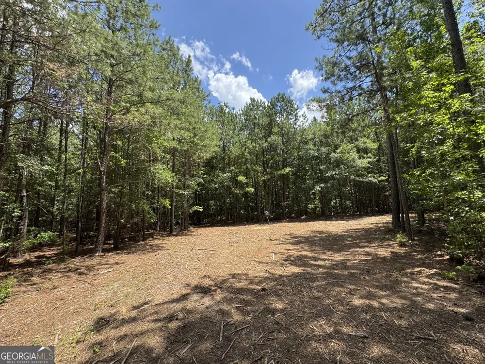 2 Roy Lawrence RD Sparta, GA 31087