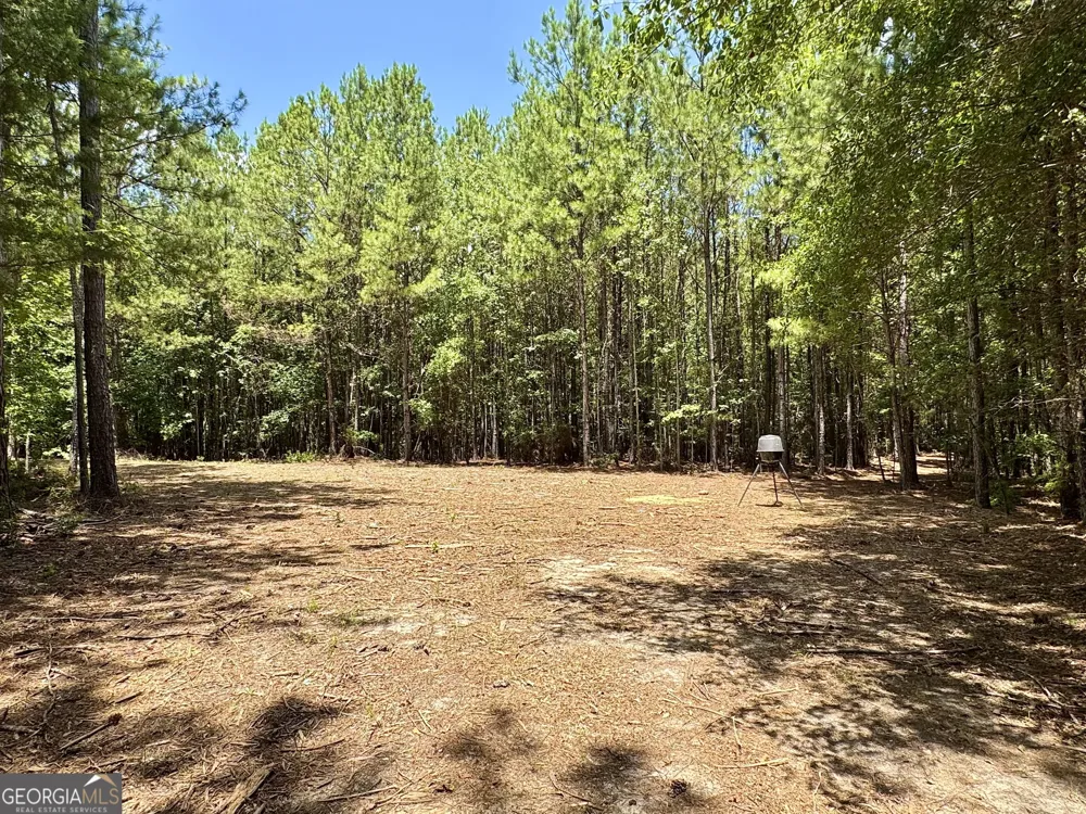 2 Roy Lawrence RD Sparta, GA 31087