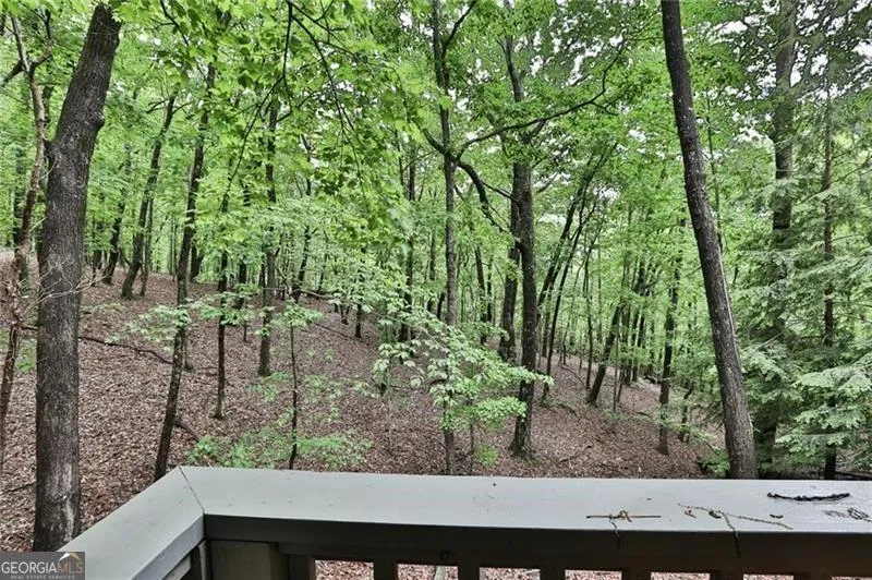 273 Indian Pipe DR Big Canoe, GA 30143
