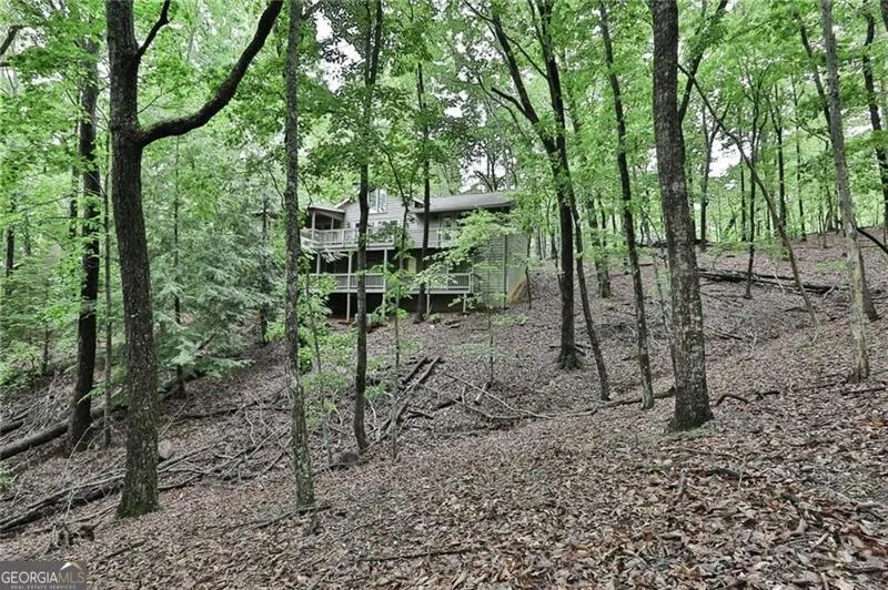 273 Indian Pipe DR Big Canoe, GA 30143