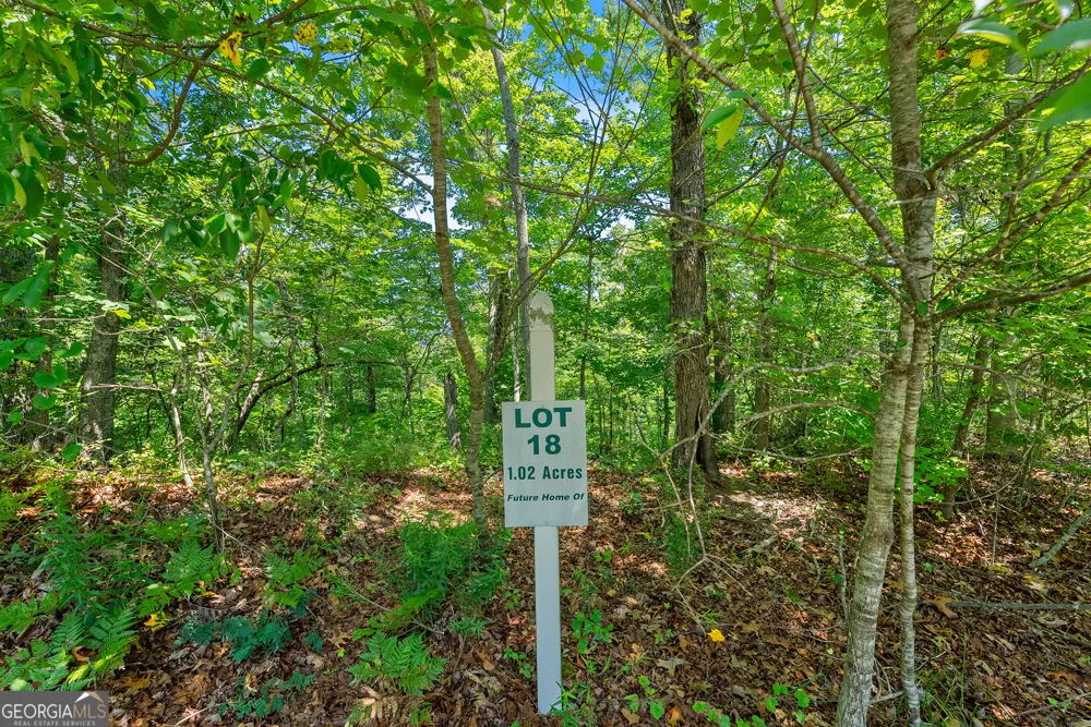0 Flat Rock PT Dahlonega, GA 30533