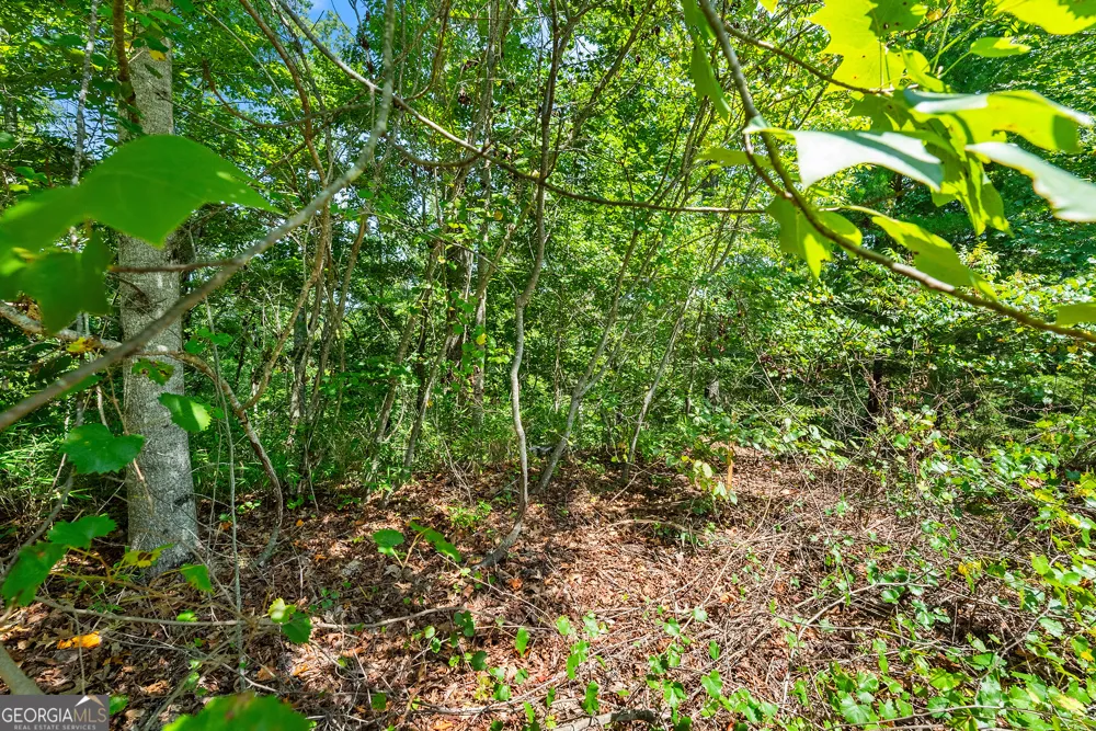 0 Flat Rock PT Dahlonega, GA 30533
